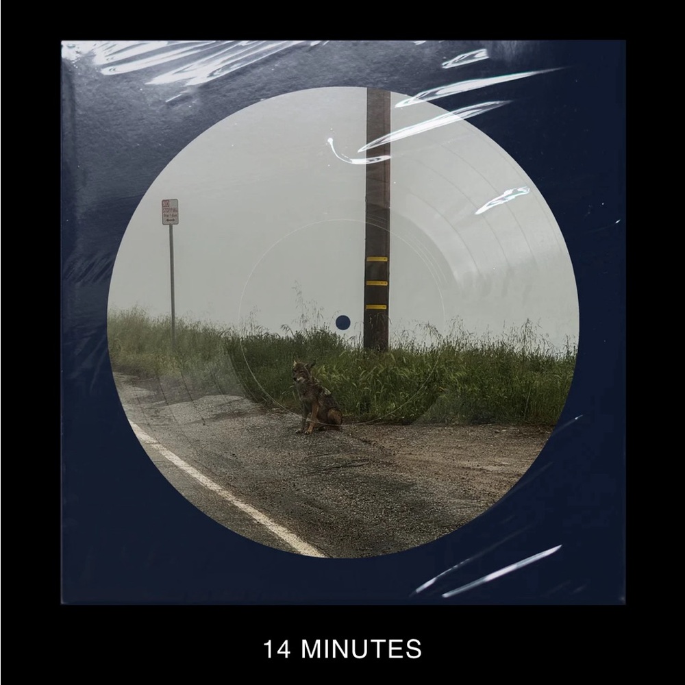 Dominic Fike 14 Minutes Vinyl Record
